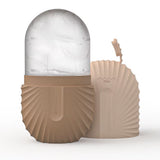Ice Roller and Gua Sha Set with Mold