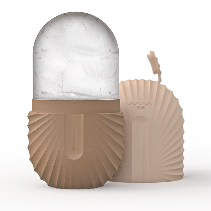 Ice Roller and Gua Sha Set with Mold