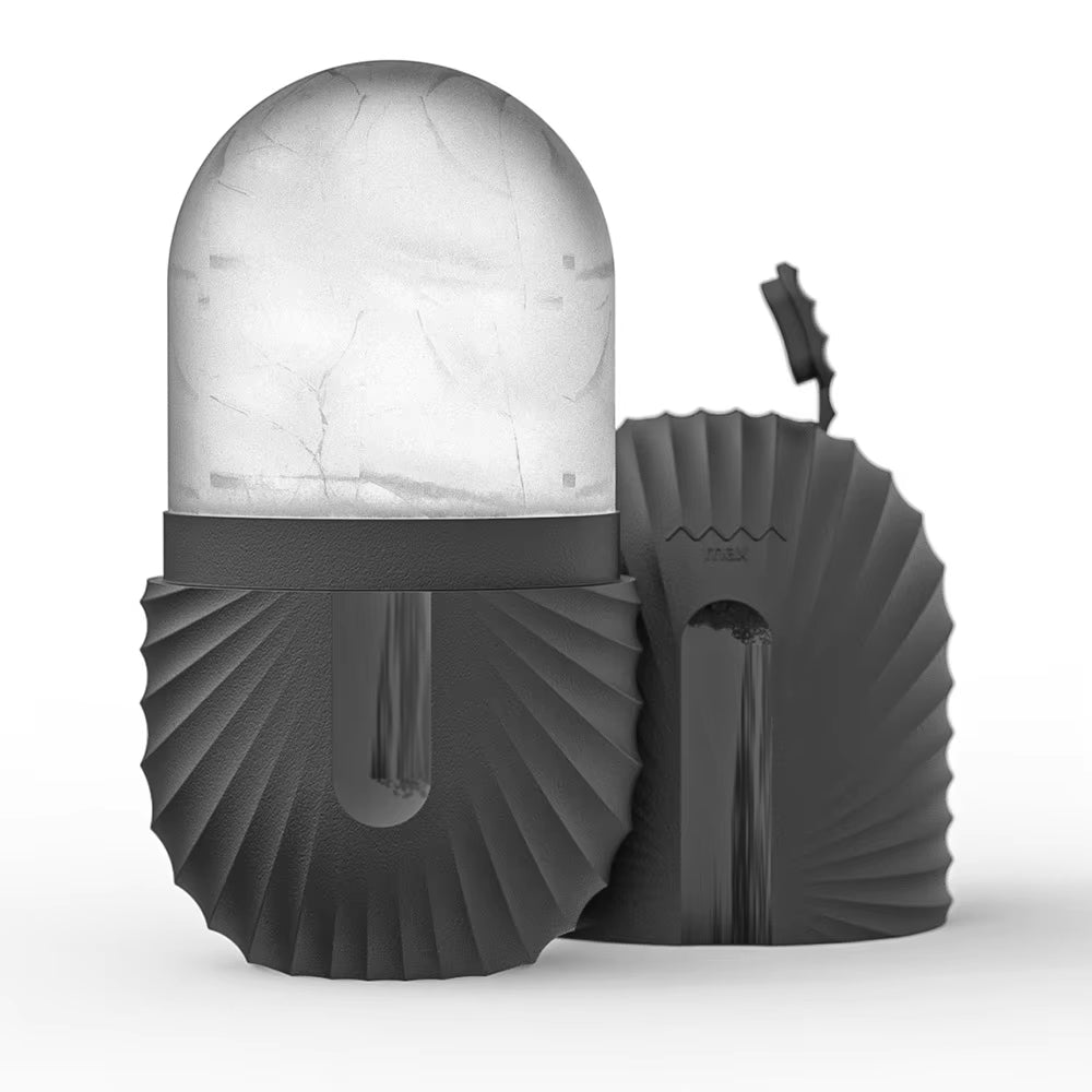Ice Roller and Gua Sha Set with Mold